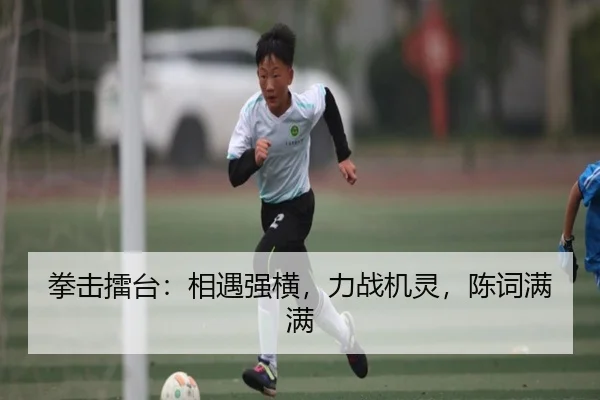 拳击擂台：相遇强横，力战机灵，陈词满满（nangongsports）